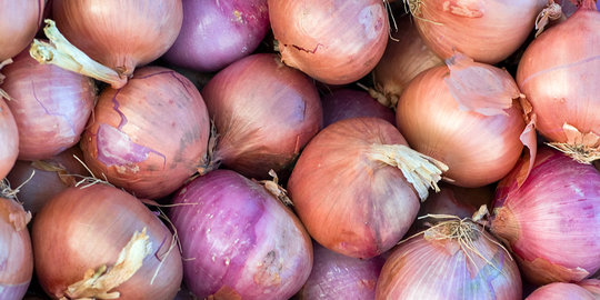 Bawang merah impor melimpah, petani Cirebon merugi