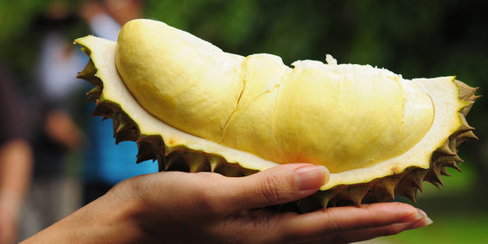 Banjir durian di Ambon, harga di pasaran anjlok