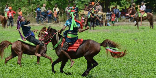 Tradisi Pasola, ritual Suku Sumba lempar tombak di atas kuda