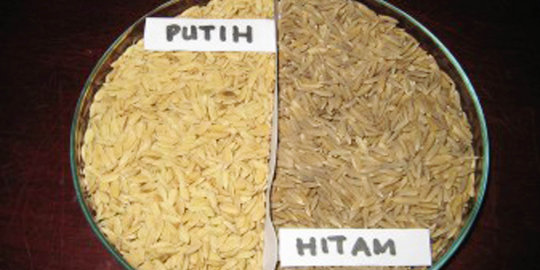4 Kelebihan konsumsi beras hitam