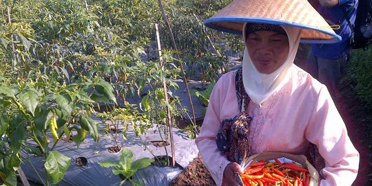 Alumni IPB dorong lahirnya petani muda