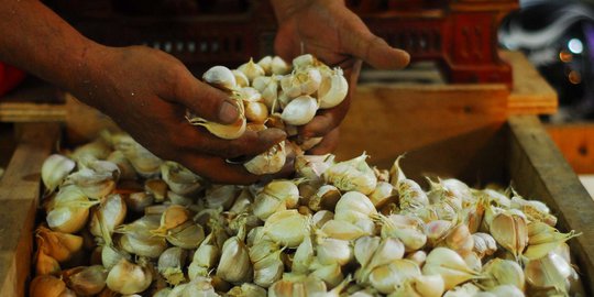 Pembelaan Mendag saat dituding terlibat kartel impor bawang