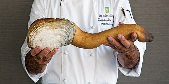 6 hewan yang miliki tubuh mirip penis