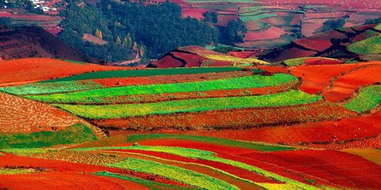 dongchuan china rev1