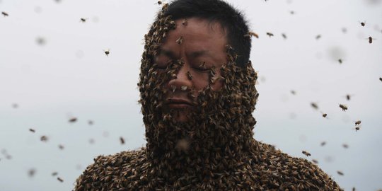 Aksi nekat pria China tutupi tubuh dengan 460.000 ekor lebah