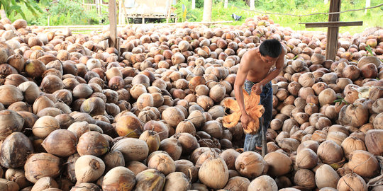 Tingkatkan nilai produksi, petani kopra minta 600 tungku