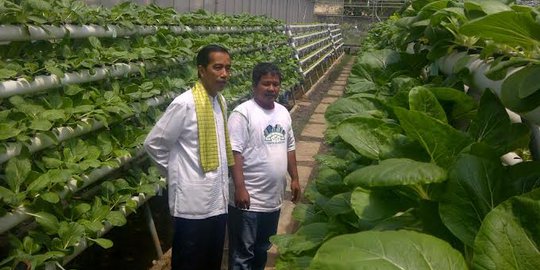 Jokowi sebut petani Green House sebulan untung Rp 2,4 juta