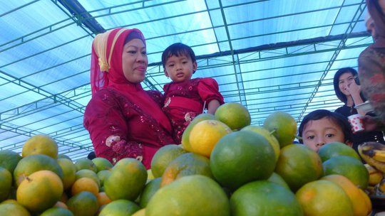 impor sayur dan buah rev2