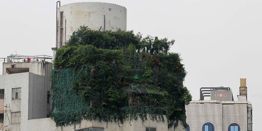 Unik, taman seluas 40 Meter persegi ini tumbuh di atas apartemen