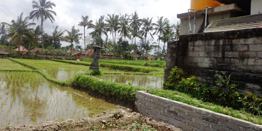 Malang perketat alih fungsi lahan pertanian