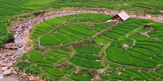 Jelang panen, petani Lampung siapkan lumbung