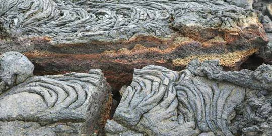 laut dalam samudera pasifik rev2