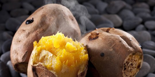 mari turunkan berat badan dengan 9 makanan enak ini