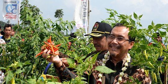 Mentan harap kepala daerah tak sembarang alihfungsikan sawah