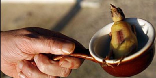 7 kuliner ekstrem ala prancis
