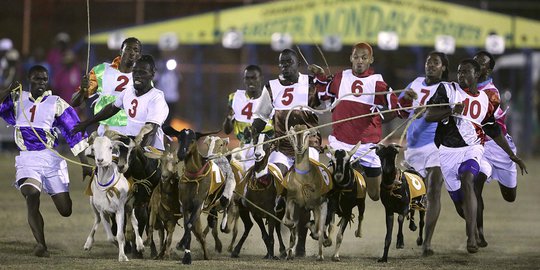 Kemeriahan balapan kambing tahunan di Trinidad dan Tobago