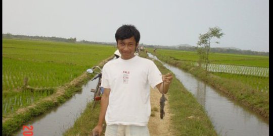 Diserang tikus, sawah petani di Sulteng 'kritis'