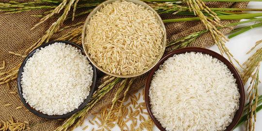 7 Langkah sukseskan ketahanan pangan beras nasional