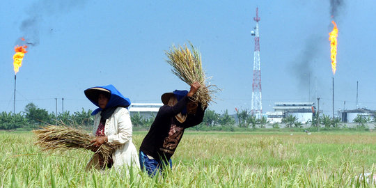 Rebutan tanah bengkok 75 Ha, 2 petani di Sumbawa berkelahi