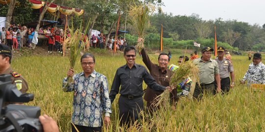 Kunjungan kerja Mentan Suswono di Sumatera Barat
