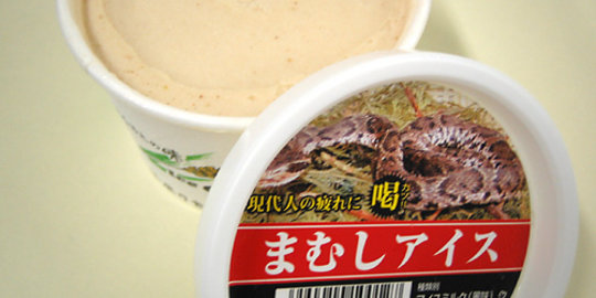 Di Jepang ular pun dijadikan es krim