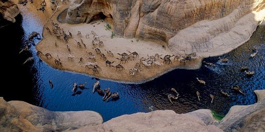 Guelta d'Archei, surga buaya Nil di jantung Sahara