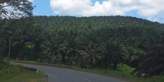 Warga tuding PT Bukit Betabuh rampas lahan 474 Ha di Inhu