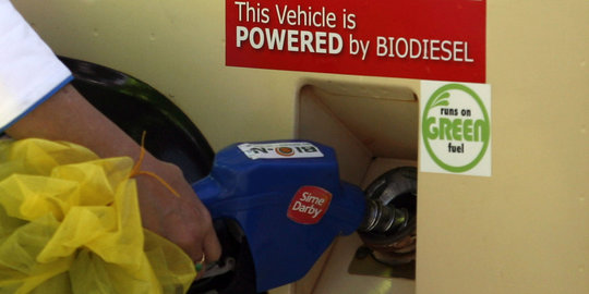 Genjot konsumsi biodiesel, pundi-pundi negara bakal bertambah