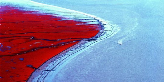 Menikmati keindahan pantai merah di Panjin
