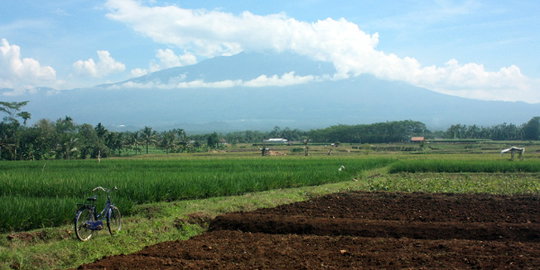 Berstatus siaga, tapi Gunung Slamet aman dikunjungi wisatawan