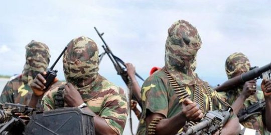 Dua siswi diculik Boko Haram tewas digigit ular