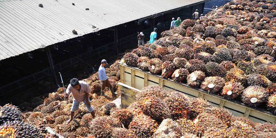 Uni Eropa bantah hambat ekspor CPO Indonesia