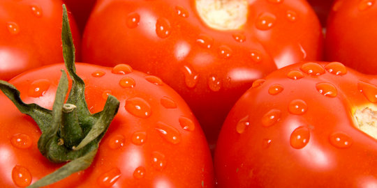Makan tomat ternyata bisa tingkatkan kesuburan pria!