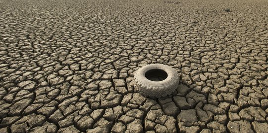 Parahnya bencana kekeringan melanda California