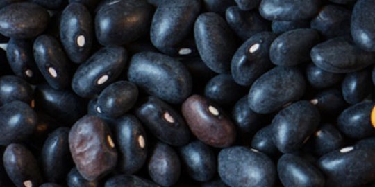 ingin buah hati lebih tinggi? berikan 8 makanan ini pada mereka