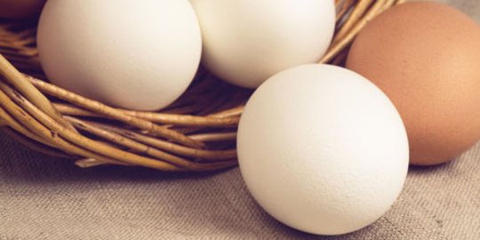 ingin buah hati lebih tinggi? berikan 8 makanan ini pada mereka