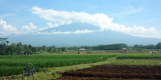 Aktivitas Gunung Slamet fluktuatif tapi cenderung sudah menurun