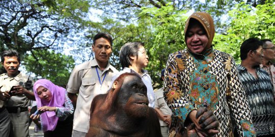 lokasi rapat dengan anak buah rev3