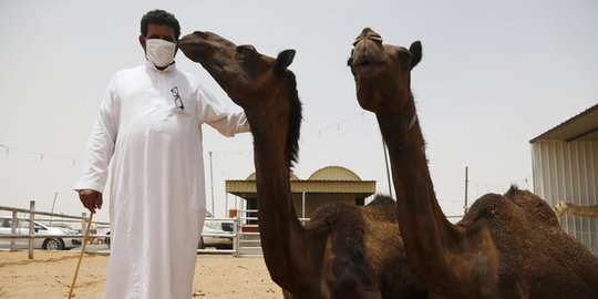 Wabah MERS, Saudi ingatkan warga pakai masker saat sentuh unta