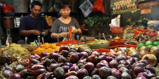 Keberhasilan Langkat kembangkan bawang tuktuk dan cabai