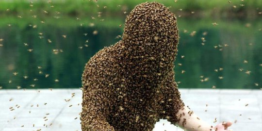 Lelaki China pecahkan rekor dikerumuni lebah paling lama