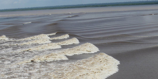 di sungai kampar rev2