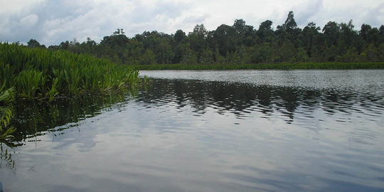 naga di sungai mahakam rev2