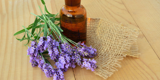 Ini 6 manfaat baru minyak lavender untuk kesehatan