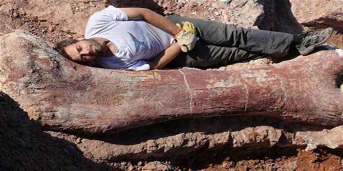 Peneliti temukan fosil hewan  terbesar  yang  pernah  hidup  di  