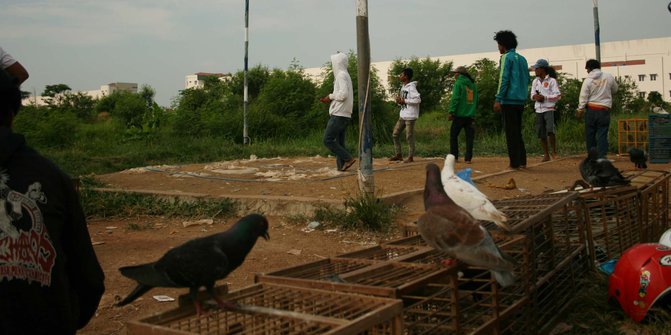 Cium Bumi Merpati Pacuan Merdeka Com