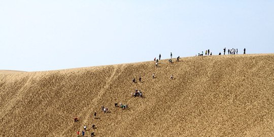 tottori