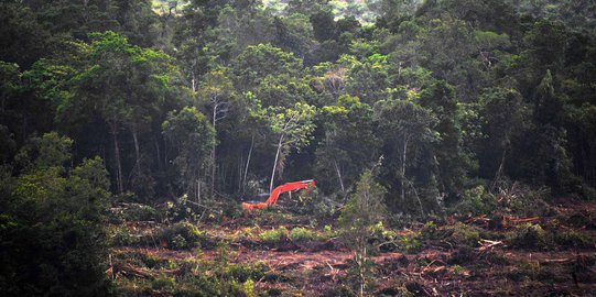 Sulitnya buka daerah terisolir di wilayah pedalaman Kalteng