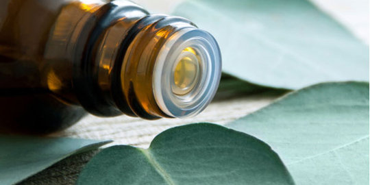 Ini 5 manfaat minyak eucalyptus untuk kesehatan