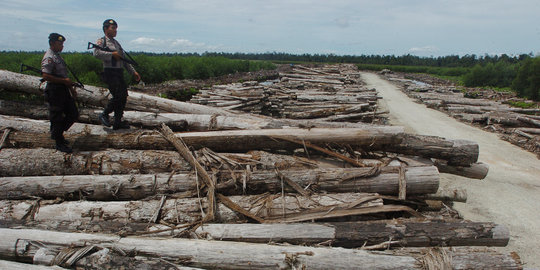 Polda Riau tangkap kapal bawa 5 ton kayu ilegal logging